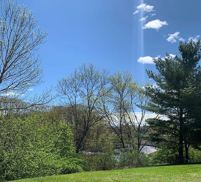 Olde English Village — Photo 4