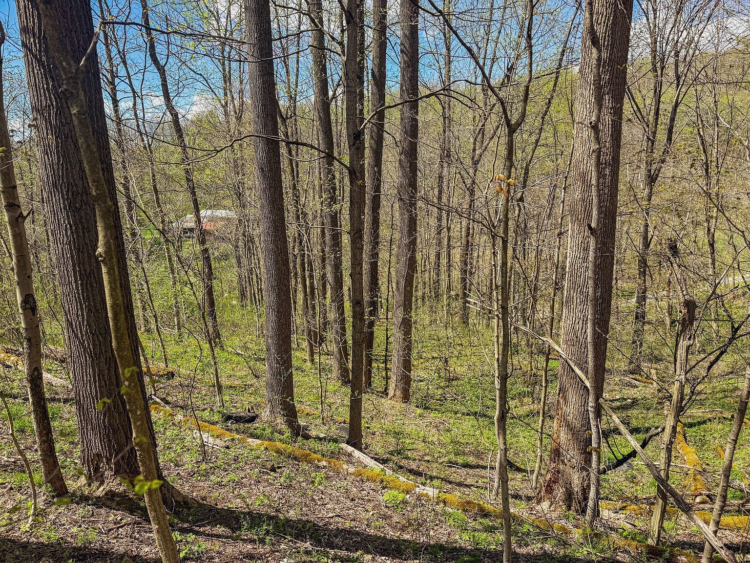 0 Dixon Dr, Albright, WV 26519 MLS 11272777 Zillow