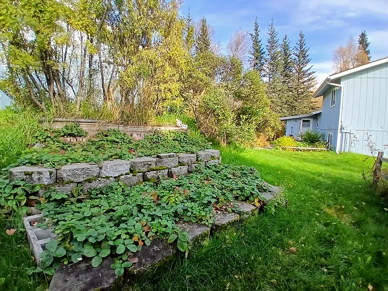 15160 E Robin Ln — Photo 32