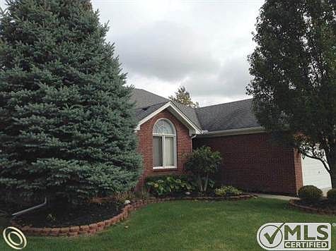 blue spruce frnt 2.JPG