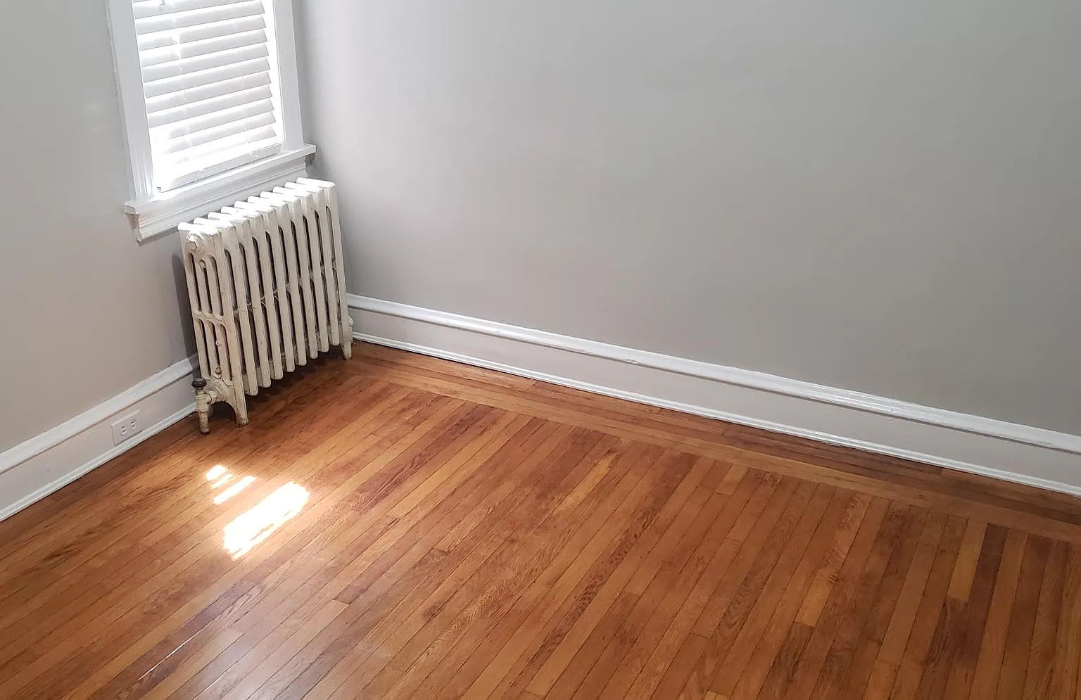 2 bed, 800 sqft, $1,500 — Photo 3