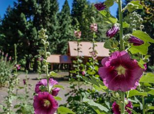 32667 State Highway 44, Shingletown, CA 96088