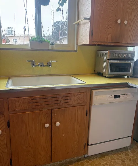 kitchen - sink and dishwasher