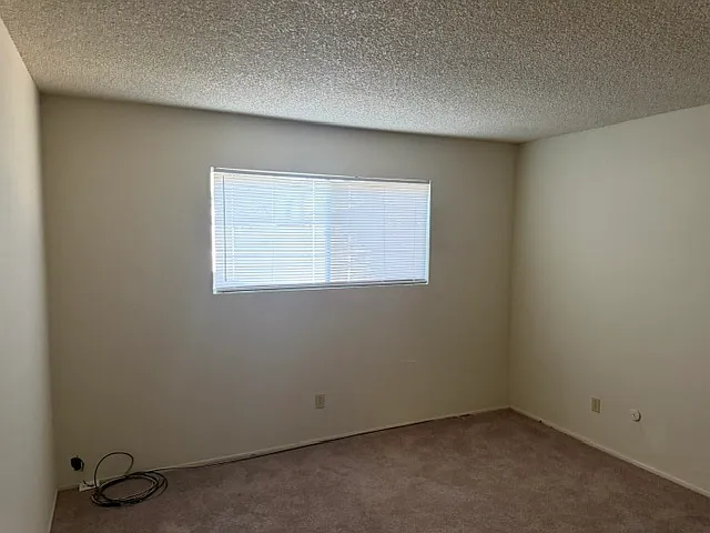 5627 Passero Way — Photo 27