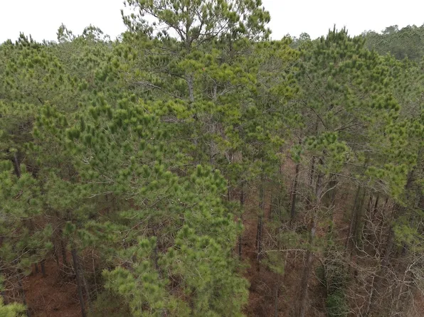 Sandy Bend Rd Lot Wp019, Strong, AR 71765