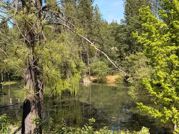 699 Tu Yu Mum Ln, Colfax, CA 95713