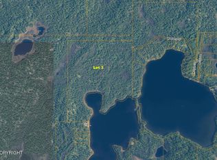 LOT 3 N Delyndia Rd, Willow, AK 99688