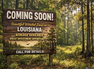 25822 State Highway 1032, Denham Springs, LA 70726