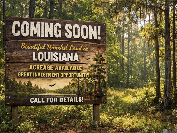 4-A-1 Highway 1032, Denham Springs, LA 70726