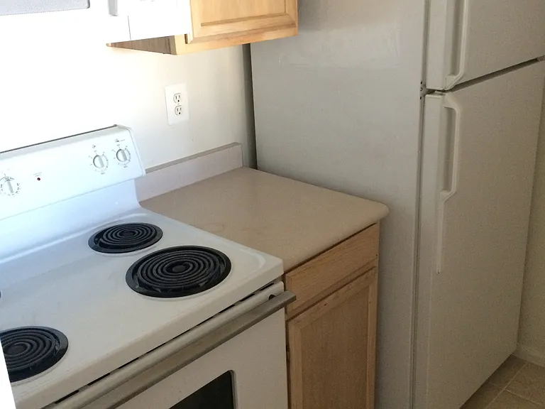 1600 Spring Gate Dr #2414 — Photo 10
