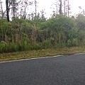 1st image of Ginger Ln Lot 23