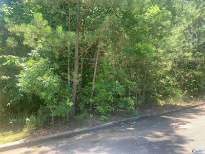 LOT 33 Cade Cir Lot 33, Leesburg, AL, 35983