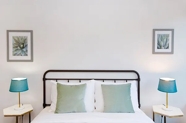 Rented by NOVO | media 58