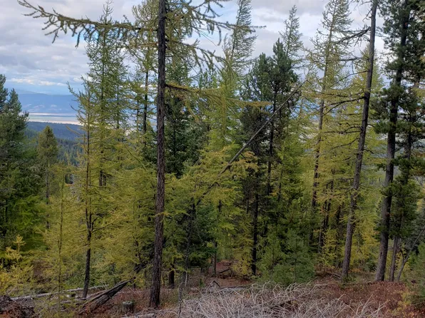 Garnet Range Rd, Bonner, MT 59823