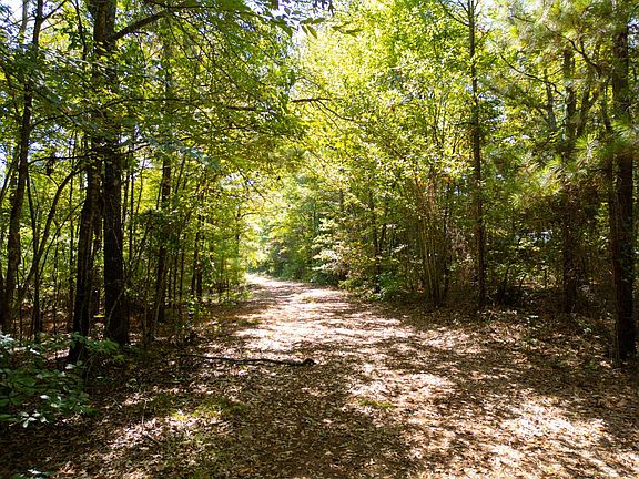 3rd image of Beall Ln