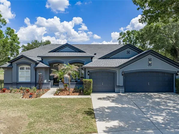 2624 Crestfield Dr, Valrico, FL 33596