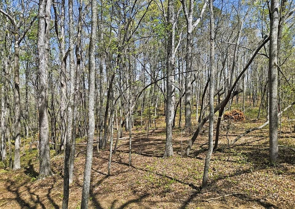1st image of 133 Heritage Plantation Dr