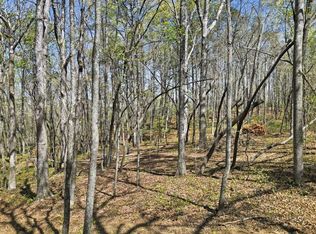 133 Heritage Plantation Dr, Ball Ground, GA 30107
