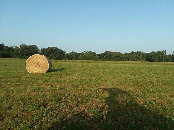 4th image of 2218 County Road 3525