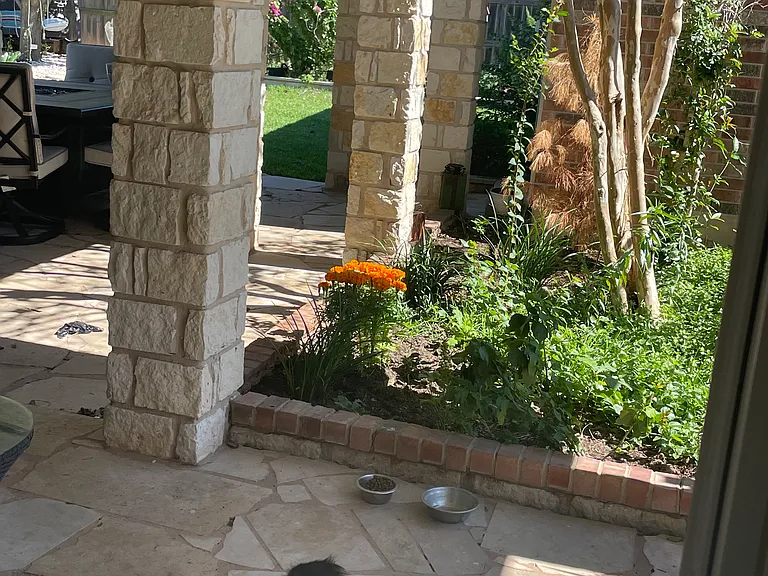 1505 Laurel Oak Loop — Photo 11