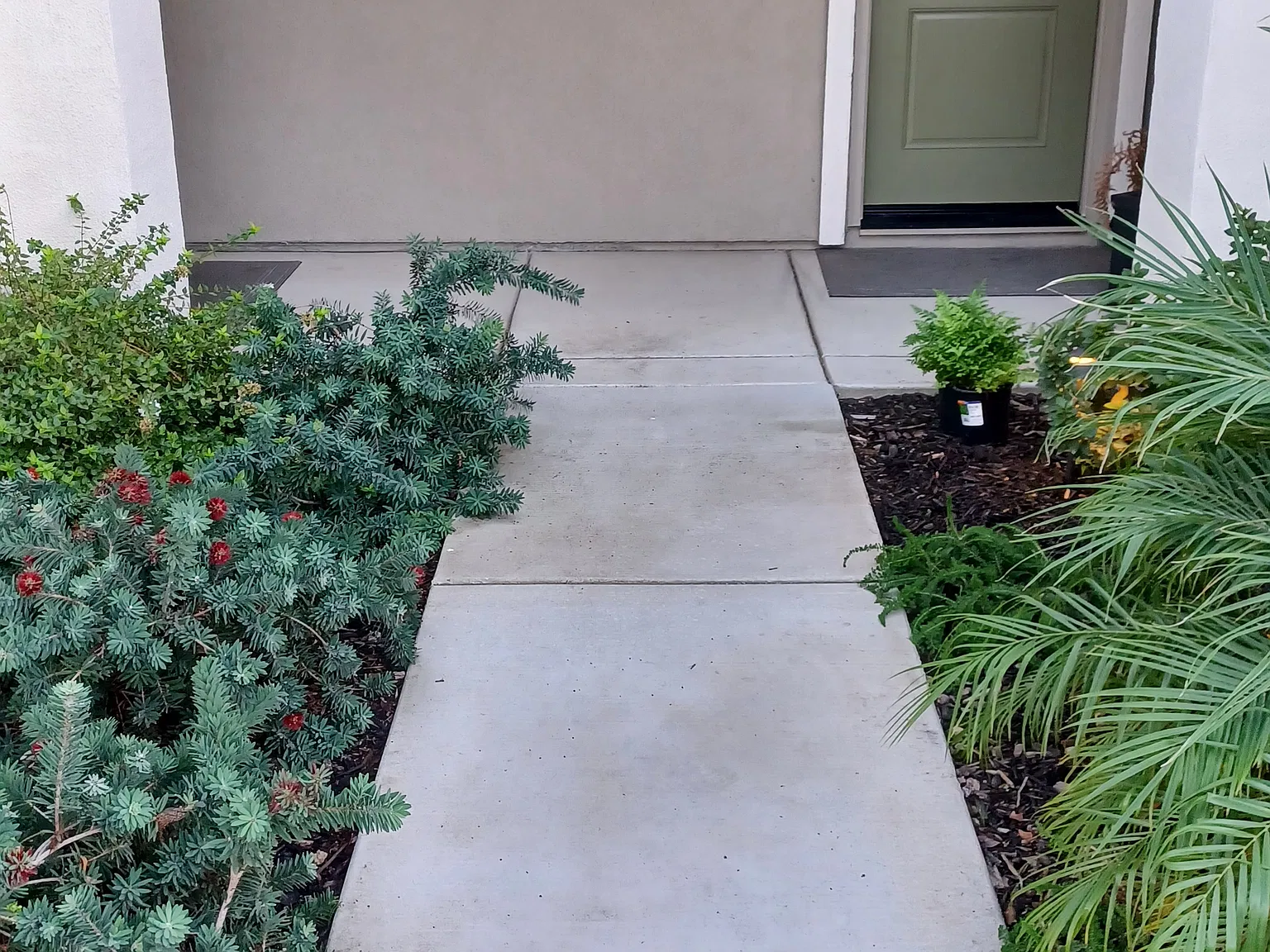 1 bed, 500 sqft, $1,350 — Photo 2