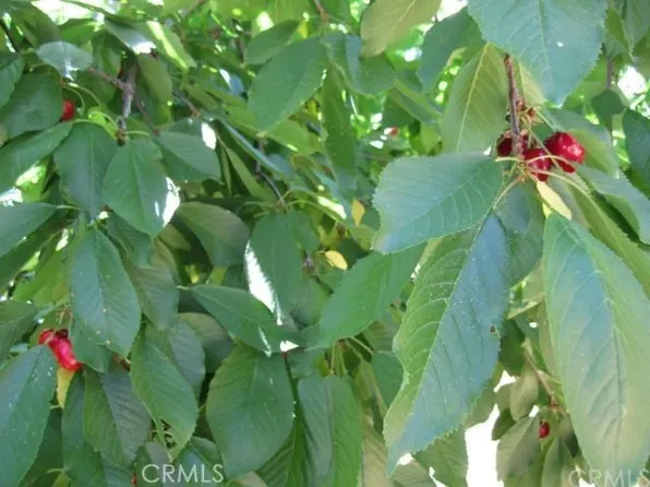 6636 Dolores Dr Lot 10, Paradise, CA 95969