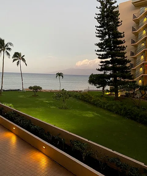 4365 Lower Honoapiilani Rd #203 — Photo 21