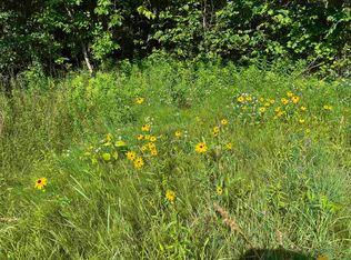 Holman Rd, Salisbury, VT 05769