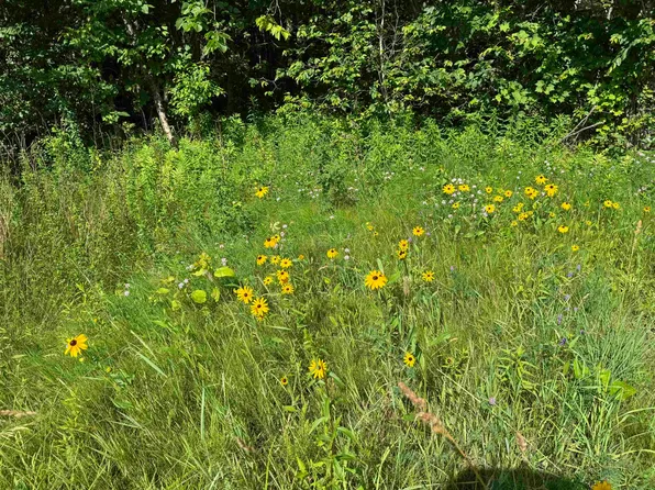 TBD Holman Road, Salisbury, VT 05769