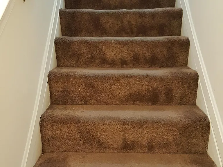 7918 Suiter Way — Photo 39