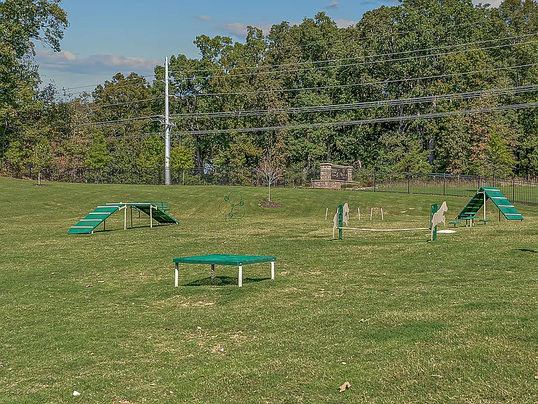 Dog Park