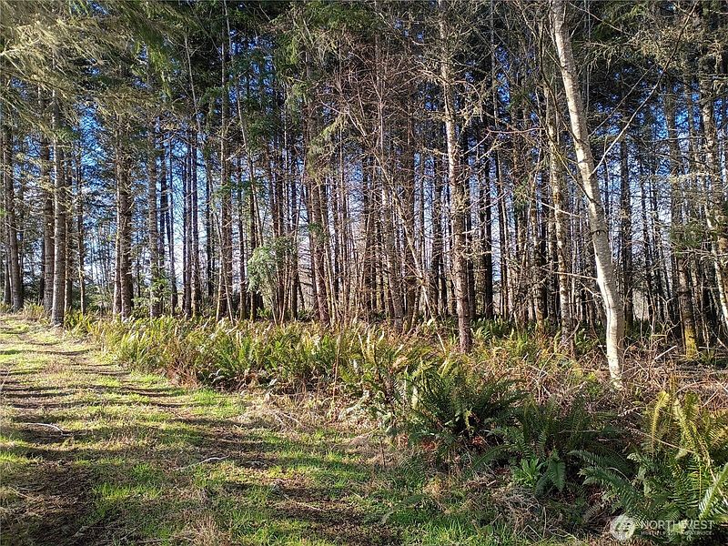 4th image of 0 0 Salmon Creek Road #0