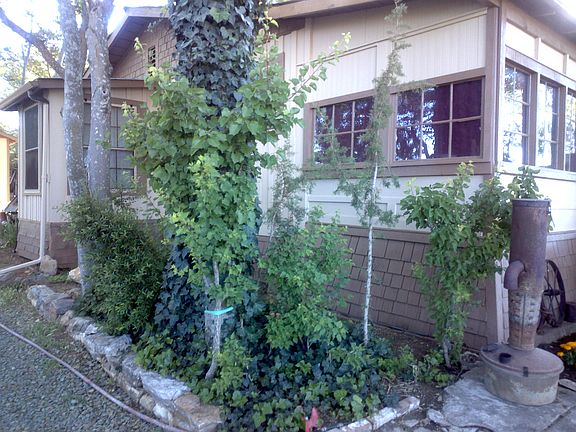 Right side of house, driveway