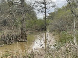 Robinson St, Sledge, MS 38670