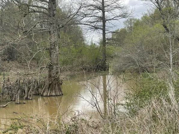 Robinson St, Sledge, MS 38670