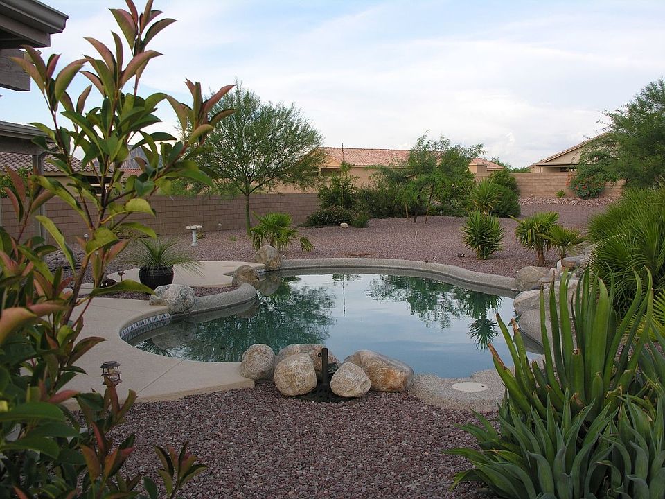 Backyard 9/09