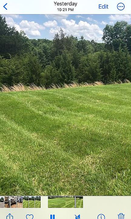 Lot boundary is past trees.
