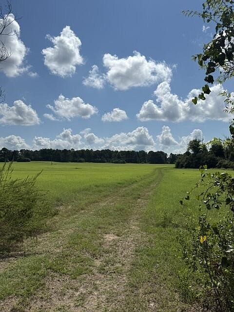 2nd image of 0 An County Rd #1231