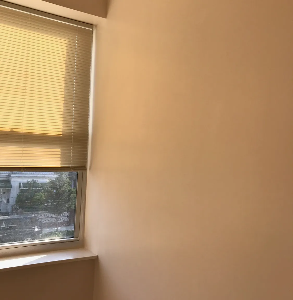 1 bed, $800 — Photo 1