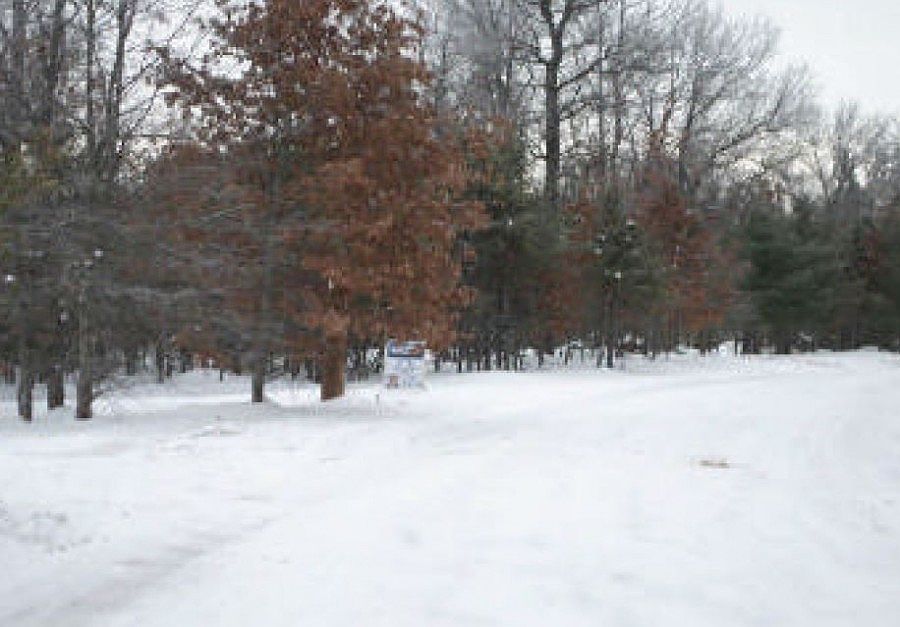 2nd image of 2473 Fiddlewood Dr