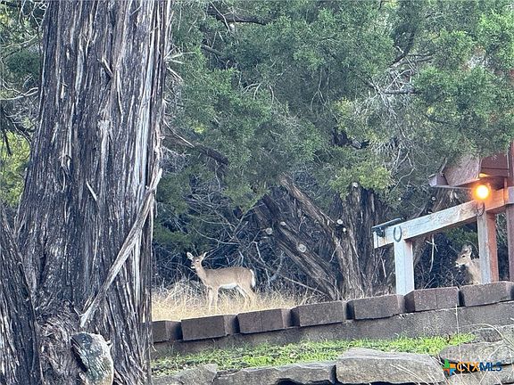 4th image of 560 County Road 4808