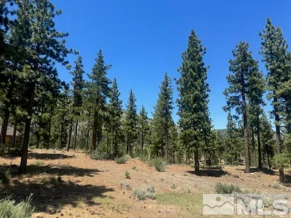 190 Dall Ct, Carson City, NV 89705