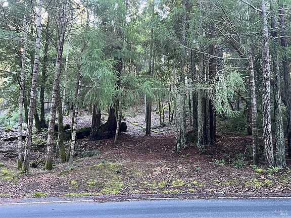 2nd image of 24100 Lilac Road
