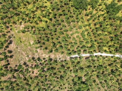 LOT 3 NE 90th Street Rd #3, Silver Springs, FL, 34488