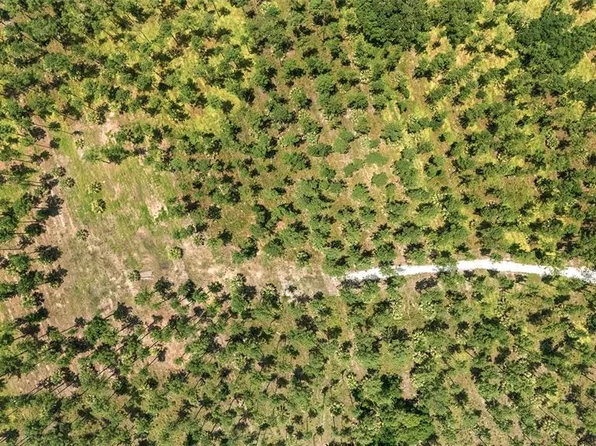 LOT 3 NE 90th Street Rd #3, Silver Springs, FL 34488