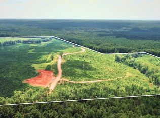 Guy Parham Ln, Amory, MS 38821