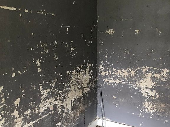 4th image of 830 PORTER ST