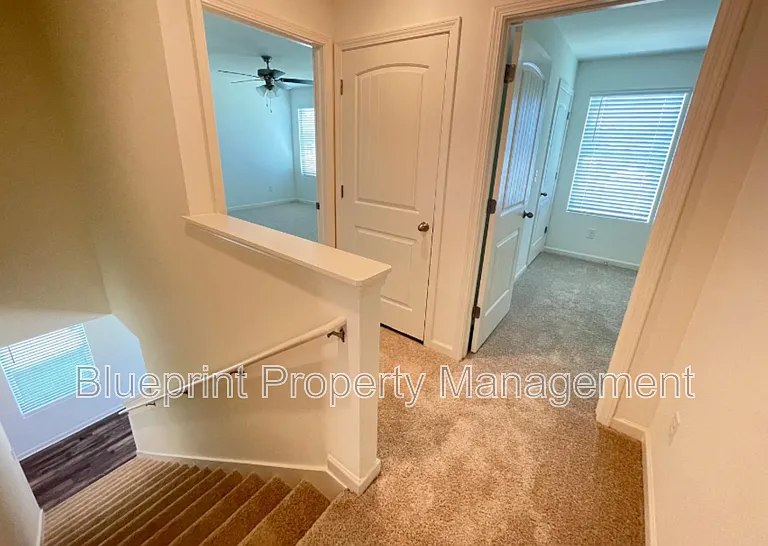 229 Chelsea Park Cir — Photo 16