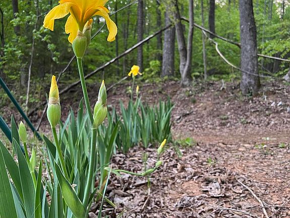 65th image of this home