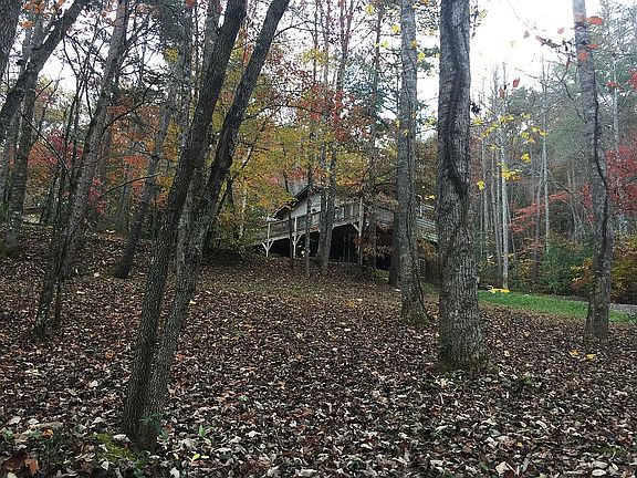 Fall View
